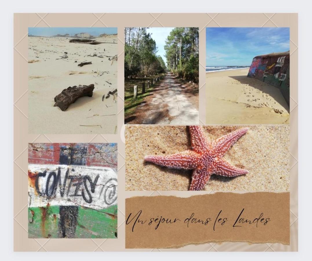 Sbvacances Tout Confort 2Ch Et 1Sdb, Environnement Calme Et Verdoyant Dans Camping 4 Etoiles Saint-Julien-en-Born Bagian luar foto